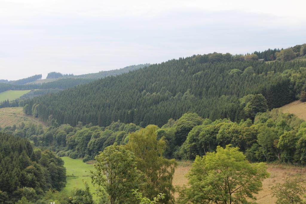 Pension Beste-Schnurbus Schmallenberg Esterno foto